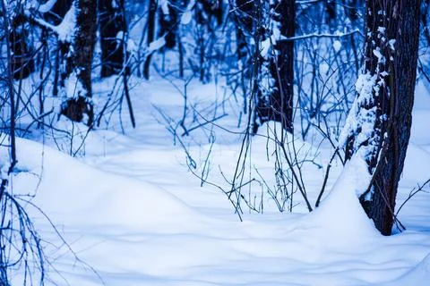 High angle view snow background. Winter landscape with snow. Stock Photos