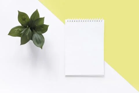 High angle view spiral notepad plant dual white yellow backdrop Stock Photos