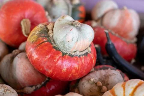 High angle view of a stack of Turban Squash Stock Photos