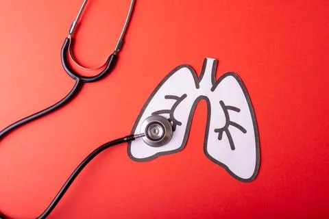 High angle view of stethoscope with white paper lungs against red background, Stock Photos