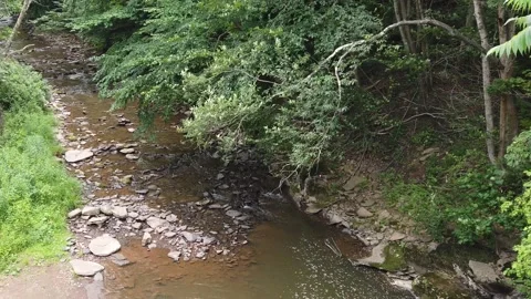 A High Angle View of a Stream in the Wilderness Stock Footage 158019120
