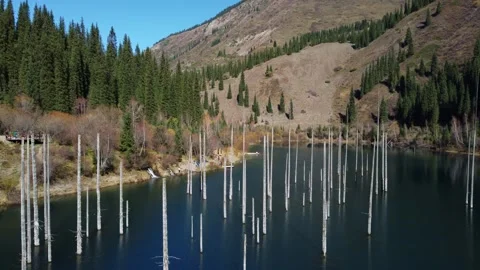 High angle view of submerged trees in turquoise lake, Kazakhstan, Kaindy Lake 库存影片 334326044