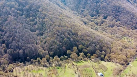 High-Angle View of Sunlit Forest Ridges and Meadow. An aerial perspective o.. Stock Footage 332004848