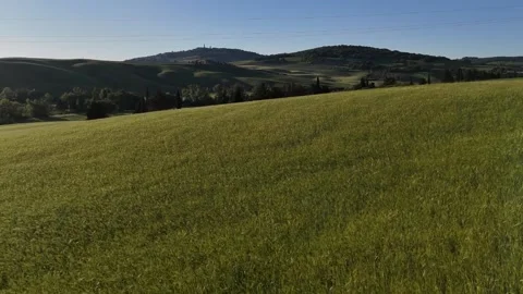 High Angle View of Sunlit Green Field Bordered by Woods Stock Footage 346804610