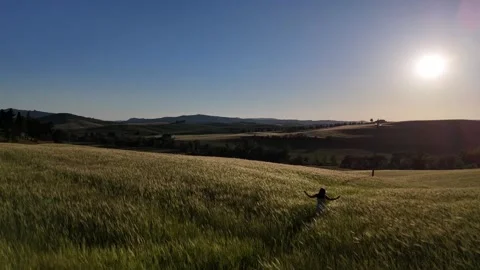 High Angle View of Sunset Glow Over Tuscan Wheat Fields and Person Видео 347435674