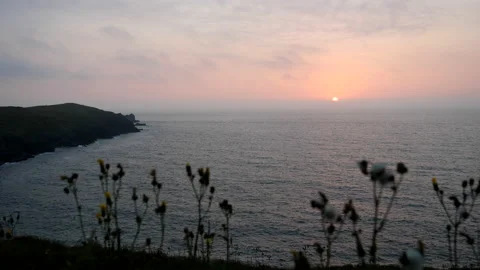 High angle view of sunset on seaside blurred flowers Vídeo Stock 142169311