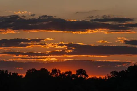 High angle view, sunset, vibrant sky yellow, orange, red, silhouetted trees.. Stock Photos