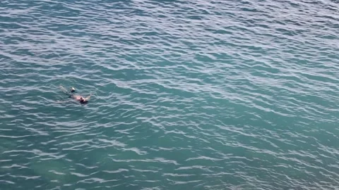 High Angle View of a Swimmer in Rippled Water Stock Footage 313661561