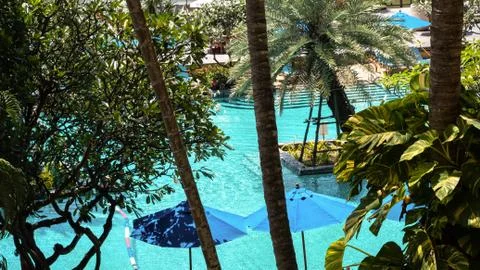 High angle view. Swimming pool in oriental Tropical resort. Foto stock
