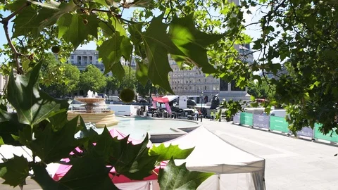 High angle view through tree branches on Trafalgar square, fountain in London Stock Footage 108602846