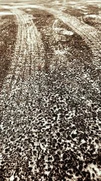 High Angle View of Tire Tracks on Asphalt 스톡 사진