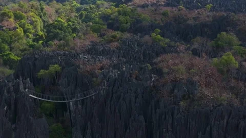 High angle view of a tourist crossing a rope bridge in the Tsingy de Bemaraha Video stock 308397153