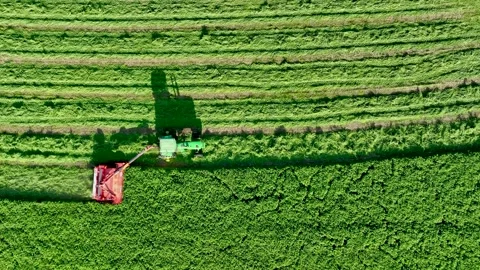 High angle view of tractor while harvesting Stock Footage 279676962