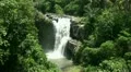 High angle view of tropic jungle waterfall HD Footage