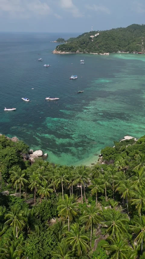 High Angle View of Tropical Island and Turquoise Sea in Koh Tao, Thailand Stock Footage 335815846