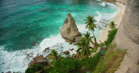 High angle view of tropical sandy beach with palm trees and turquoise water in Vídeos de archivo 337619351
