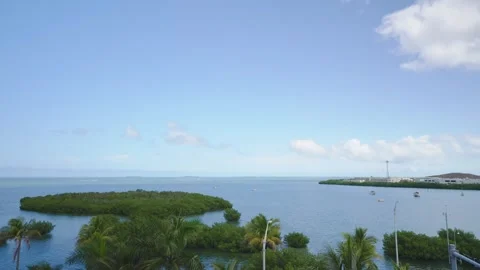 High angle view of a tropical seascape with mangrove islands and blue ocean. 動画素材 346504125