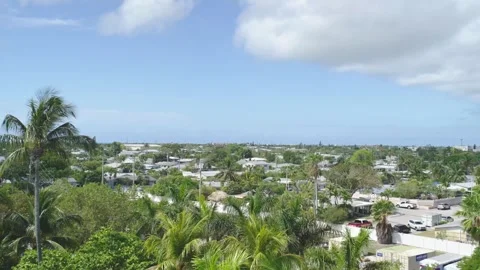High angle view of tropical town cityscape with palm trees in Key West. 動画素材 346504123