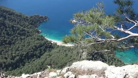 High-angle view of turquoise secluded sandy beach through pine trees Video stock 333464657