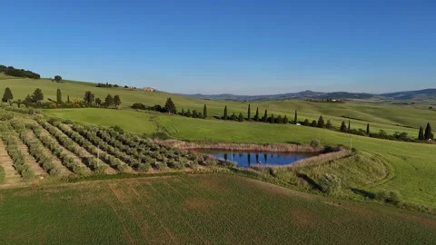 High Angle View of Tuscan Farm Pond Surrounded by Olive Trees Stock Footage 347114770