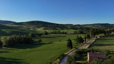 High Angle View of Tuscan Road Lined with Cypress Trees and Fields Video stock 346938855