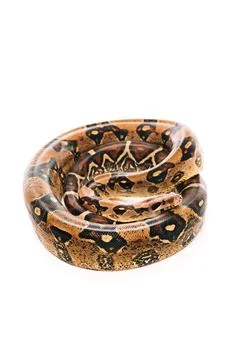 High angle view twisted python Stock Photos