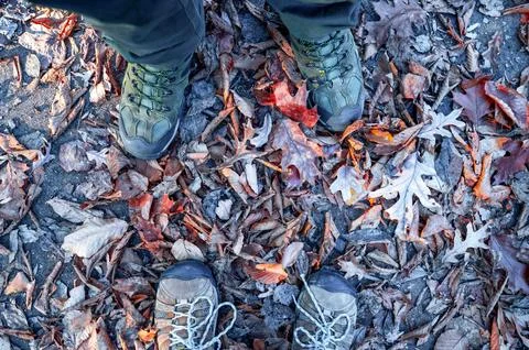 High angle view two pairs of hiking boots meeting in autumn leaves Stock Photos