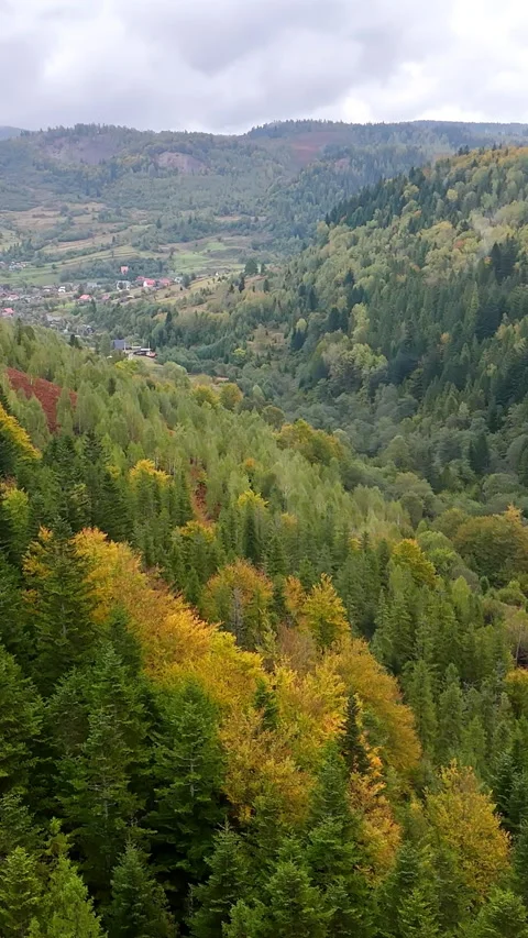 A high-angle view of a valley with a dense forest and a distant village Stock Footage 319845076