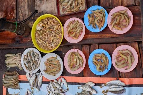 High angle view of various species fresh fish at traditional market Stock Photos