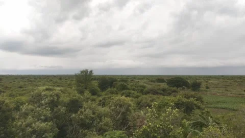 High Angle View Of Vast Green Forest Horizon Under Overcast Sky In Cambodia Stock Footage 342263752