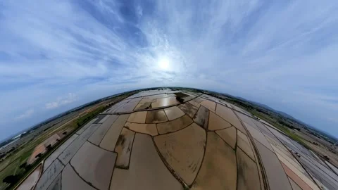 High-angle view of vast rice paddies under bright sky 库存影片 345393677