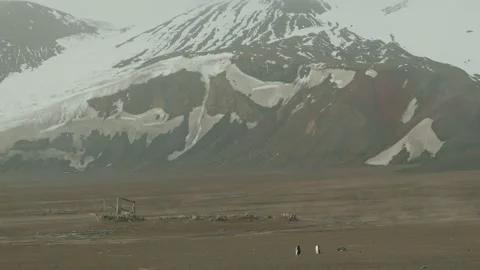 High angle view of vast volcanic ash plain at Whalers Bay, Deception Island Vídeos de archivo 333064647