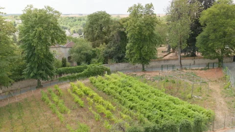 High Angle View of Vineyard Rows and Surrounding Countryside Landscape in Provin Vídeo Stock 340636370