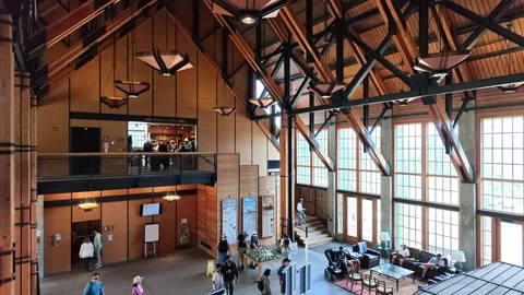 High angle view of visitors in a large timber lodge lobby with high ceilings Stock Footage 339117776