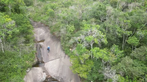 High-angle view of walking in the middle of the jungle in Brazil Stock Footage 262115585
