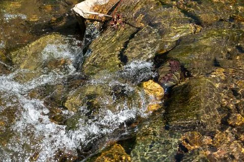 High angle view of water cascading over stones and rocks in flowing stream Stock Photos