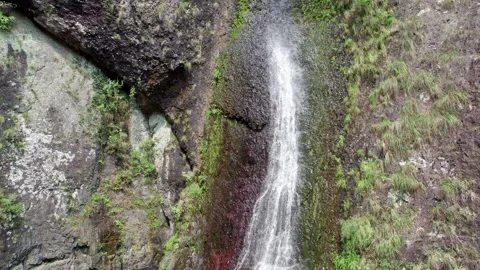 High angle view of waterfall in forest Stock Footage 283655566