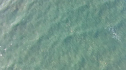 High angle view of wave motion on ocean Stock Footage 225093078