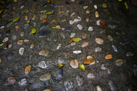 High angle view of wet pebbled surface, Yelapa, Jalisco, Mexico Stock Photos
