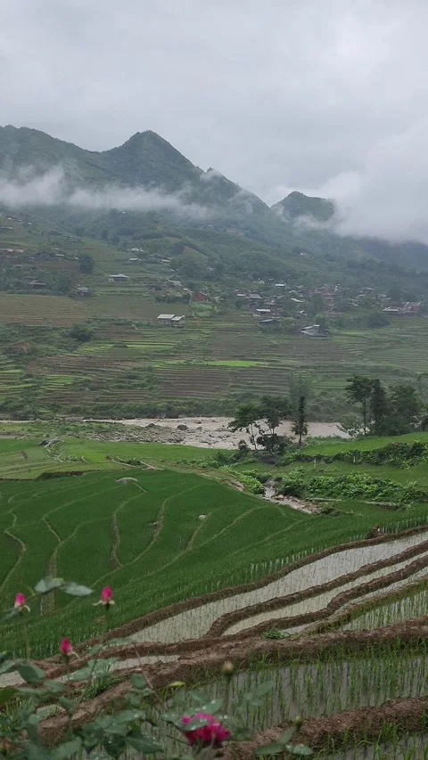 High Angle View of Wet Rice Terraces in Rain – Sapa, VIETNAM Stock Footage 319795216