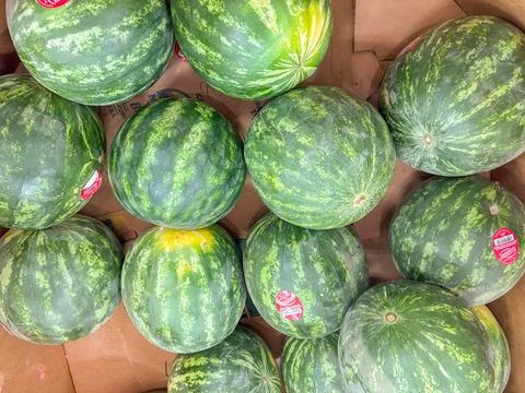A high-angle view of whole green watermelons piled in a cardboard display bin Photos