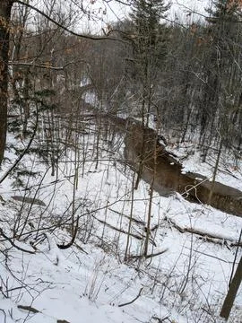 High Angle View of a Winter Creek in a Snowy Forest Stockfoto's