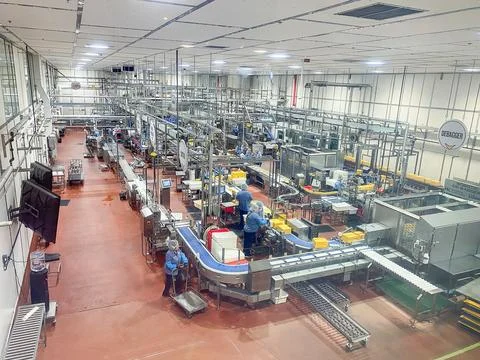 High-angle view of workers and conveyor belts in a modern cheese factory pr.. Stock Photos