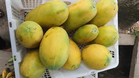 High Angle View Of Young Papayas For Sale At store Stock Photos
