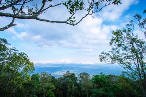 High angle views, trees and white clouds under the blue sky in Thailand Foto stock