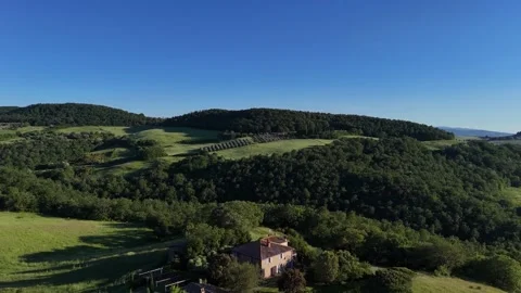 High Angle Vista over Dark Forest Slopes and Sunny Meadow Видео 346204839