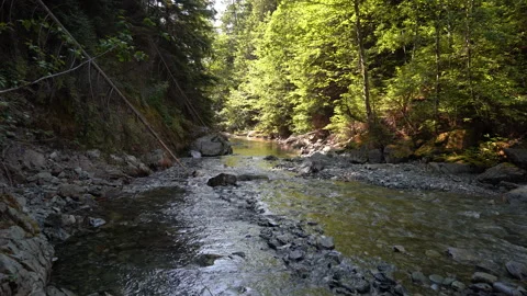 High angle of water rushing across a shallow creek bed Stock Footage 163175232