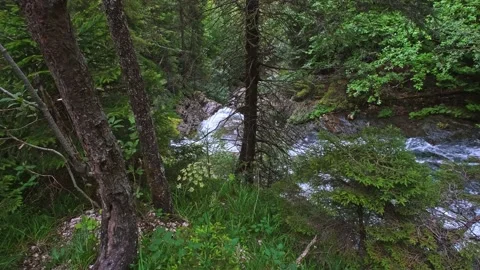 High angle of waterfall flowing in through trees and vegetation, Jura, France Stock Footage 265962168