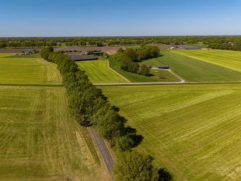 High angle wide horizontal aerial drone photograph of tree-lined asphalt Stock Photos