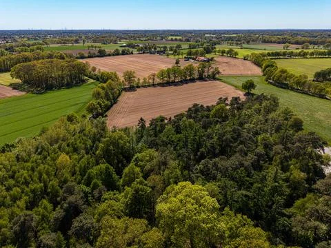High angle wide horizontal aerial drone photograph of dense forest canopy Stock Photos